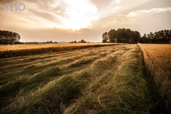 dolnośląskie, Wałbrzych, Książ, Teren pod zalesienie - dotacje z UE